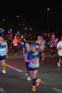 BIB: 
                            <button type="button" onclick="openModal(24251853)" class="btn btn-primary btn-sm float-right btn-popup" data-toggle="modal" data-target=".modal-high-quality">
                        <i class="fas fa-shopping-cart"></i> Add to Cart
                    </button>
                                            <button type="button" onclick="isThisMe(24251853, true)" class="btn btn-success btn-sm float-right btn-popup btn-isme hidden" data-toggle="tooltip" data-placement="bottom" title="นี่คือรูปของคุณใช่ไหม คลิกที่นี่เพื่อเอาเข้าอัลบั้ม">
                        <i class="fas fa-plus"></i> Add to album
                    </button>
                    <button type="button" onclick="isThisMe(24251853, false)" class="btn btn-warning btn-sm float-right btn-popup btn-isnotme hidden">
                        <i class="fas fa-ban"></i> Remove from album
                    </button>